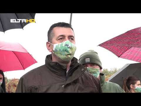 BL HRONIKA 13 10 20 - 625 SADNICA NA PONIRU