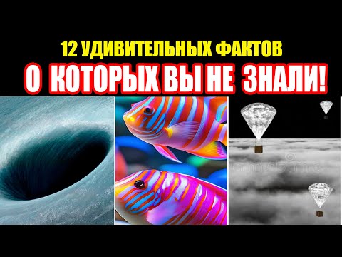 Вы ТОЧНОГО ЭТОГО НЕ ЗНАЛИ. 12 ИНТЕРЕСНЫХ ФАКТОВ ИСТОРИЯ