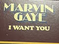 Marvin Gaye - Is Anybody Thinking About Their Living?