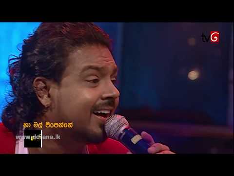 Ha Mal Pipenne - Dushyanth Weeraman / හා මල් පිපෙන්නේ - දුෂ්යන්ත් වීරමන්