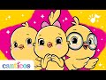 Canticos Los Pollitos Kiki Nicky Y Ricky Colección De Canciones Infantiles Aprende Inglés
