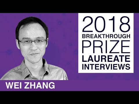 Wei Zhang: 2018 New Horizons Prize laureate