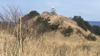 ぶぼぼぼぼぼー
