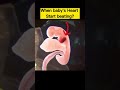 Baby Heartbeat In Pregnancy Shorts Shortsvideo