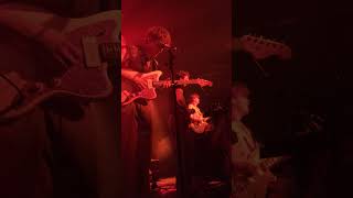 The Manatees - Buttercup (2024) video