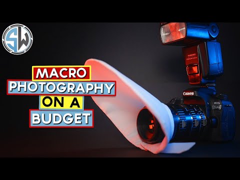 Macro Photography on a Budget