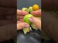 What S Golden Berry Fruit Shorts Satisfying Fruitcutting Fruit Food Oddlysatisfying