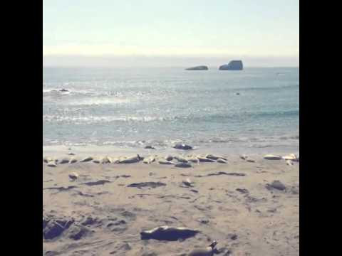 Instagram video Rubina Dilaik