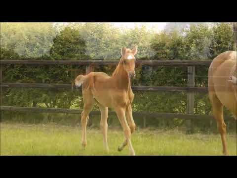 Waldina Quality 2022