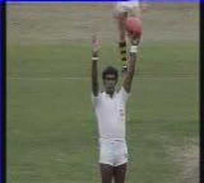 Carlton unfurl the 1982 Premiership flag