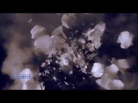 Stive morgan - soul sparks