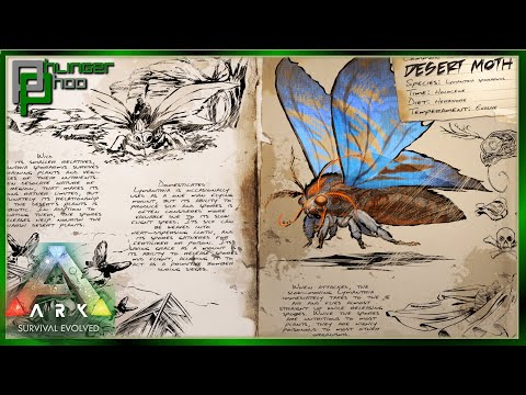 Ark Basics Lymantria - DESERT MOTH - EVERYTHING YOU NEED TO KNOW!