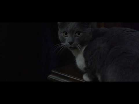 SALE RDZ x HANI BEDZER - LOTUS KUSH 2017