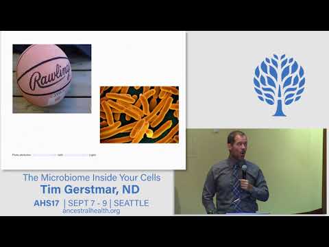 AHS17 The microbiome inside your cells - Tim Gerstmar