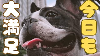 今日も楽しかった