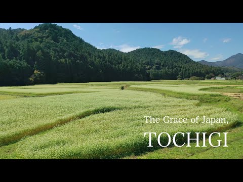Geo Gastronomy " The Grace of Japan, TOCHIGI " 2 min