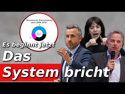 Absolute Mehrheit? Warum die AfD 2026 erstmals zwei Länder allein regieren könnte