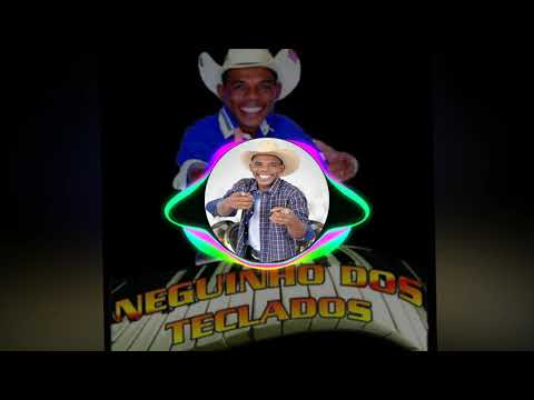 Neguinho dos Teclados - Gaiteiro Roncador