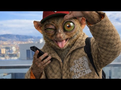 “Solito en San Valentín 💔” - RUBEN PLATA X @RUBENPLATA.IA