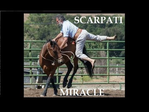 Amazing Old Horseman starting an 8 years old wild Mustang - Scarpati Horsemanship