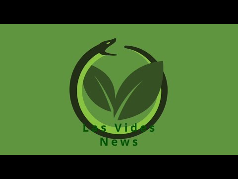 Las Vides News 8