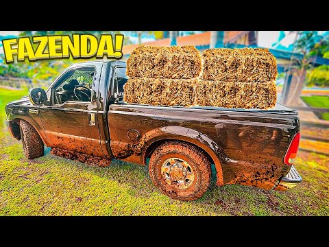 FUI PRA FAZENDA LEVAR A RAÇÃO DOS CAVALOS 🐴