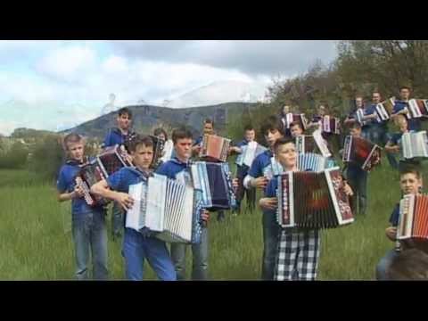 ORKESTER ANDREJA BAJUKA POD TO GORO ZELENO