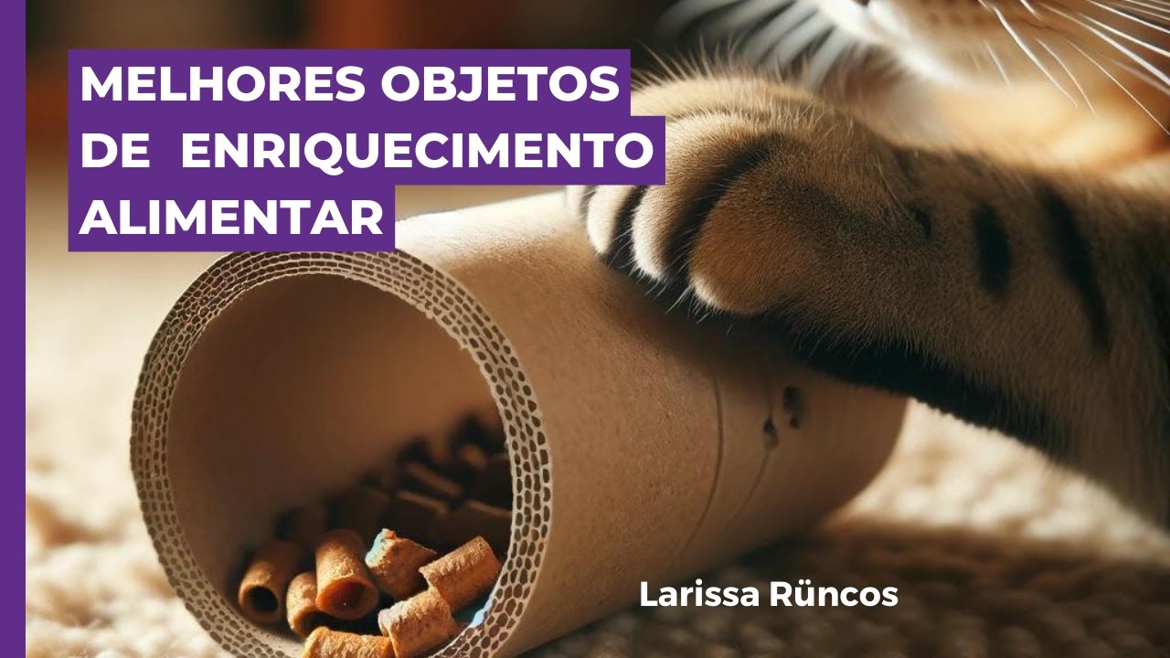 QUAIS OS TIPOS DE OBJETOS PARA O ENRIQUECIMENTO ALIMENTAR DO SEU GATO?