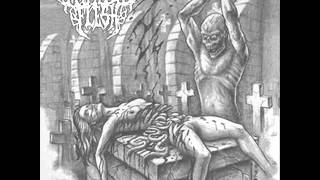 Morbid Flesh - Gulag (Cracked Bones)