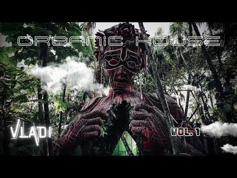 VLADI - Organic House Vol. 1