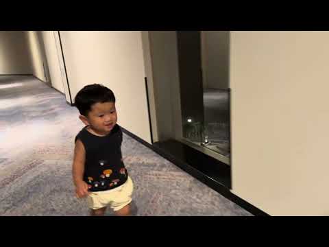 「ジョコとクラースからの 15 分間の生中継」: こんな彼らを見たことはありません