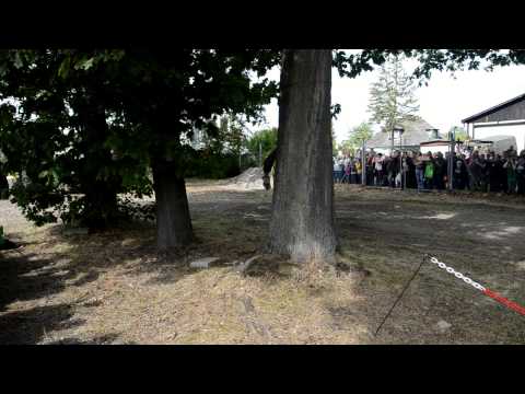 Munster Stahl auf der Heide 2013