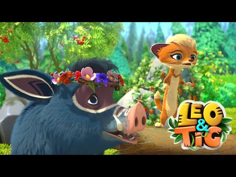 Leo and Tig 🦁 Summer best 🐯 Funny Family Good Animated Cartoon for Kids