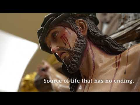 Pilgrims of Hope - Official Hymn for the 2025 Jubilee