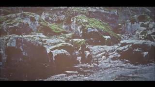 SFDK - Todo Lo Que Importa Feat. Fyahbwoy