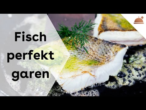 Perfekt gegarter Fisch nach Johann Lafer #shorts