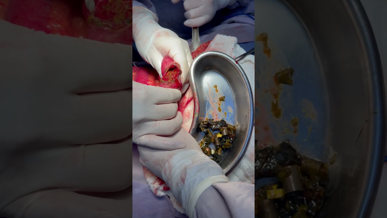 Enrique Aurelio Gutiérrez Bautista-11