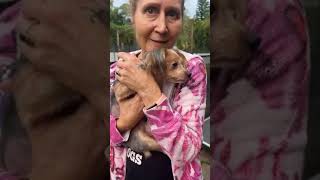 Ericka & Lady – Two precious little lives saved today! Ericka & Lady – Two precious little lives saved today!