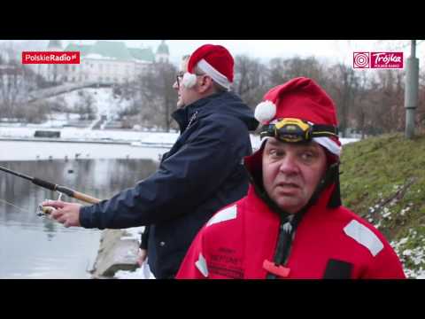 Młot na karpia - czyli wędkarz vs. rzecznik interesu