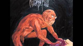 Neoandertals - Ebu Gogo Gutting The Child [Full Album]
