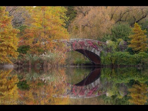 New York Landscape Photography: Central Park in Fall