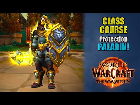 Class Course: A Protection Paladin Rotation Guide for Beginners! | The War Within 11.1.5