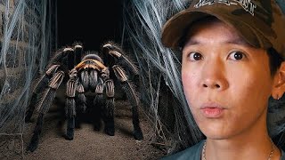 A horror game where you get CHASED by a GIANT SPIDER.