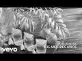 Cornelio Reyna - Mis Mejores Años (Visualizer)