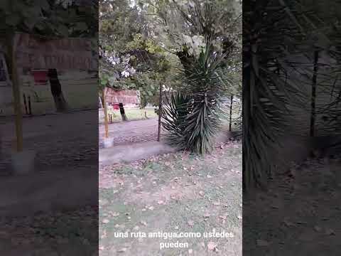 Sauce Montrull. Dto. Sauce. Parana Campaña. Entre Rios. Parte 5