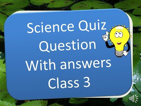 download lagu mp3 mp4 Hindi Quiz Questions For Class 3, download lagu Hindi Quiz Questions For Class 3 gratis, unduh video klip Hindi Quiz Questions For Class 3