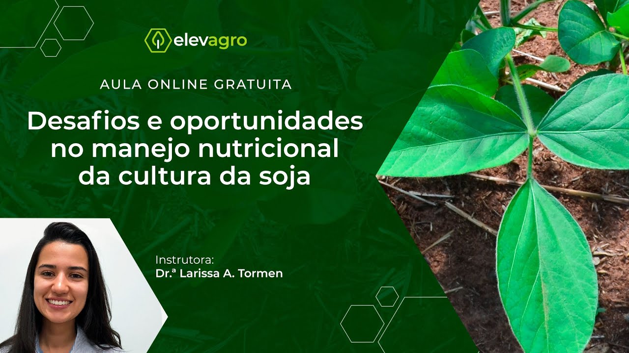 Desafios e oportunidades no manejo nutricional da soja | Aula gratuita com Dr.ª Larissa Tormen