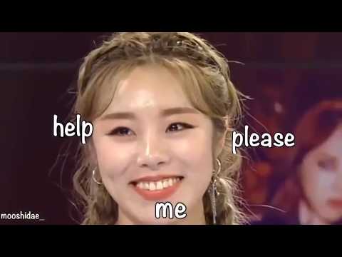 [Reup] MAMAMOO being awkward on YTN news