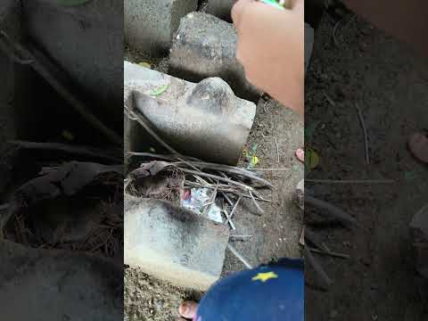 Wood stove 🔥in village | #villagelifestyle  #villagelife #villagevlogs @PARNIHASPASSION