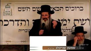 שבת גדלנו 3 | יו"ר הארגון הרב הגאון שמעון שניילבג שליט"א - טראומה מורכבת מהי? מהשלכותיה!